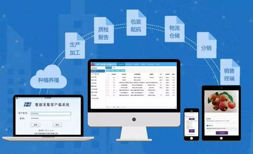 兆信股份 溯源為何離不開物聯(lián)網(wǎng)與物聯(lián)網(wǎng)技術服務
